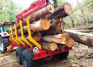 Remorque forestière Rabaud XYLOTRAIL 11 avec grue de 8 m